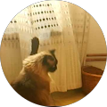 Francesc M.G. Avatar