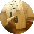 Francesc M.G. Avatar