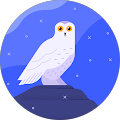 Ilya Osintsev Avatar